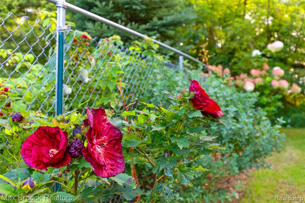 main property photo 58
