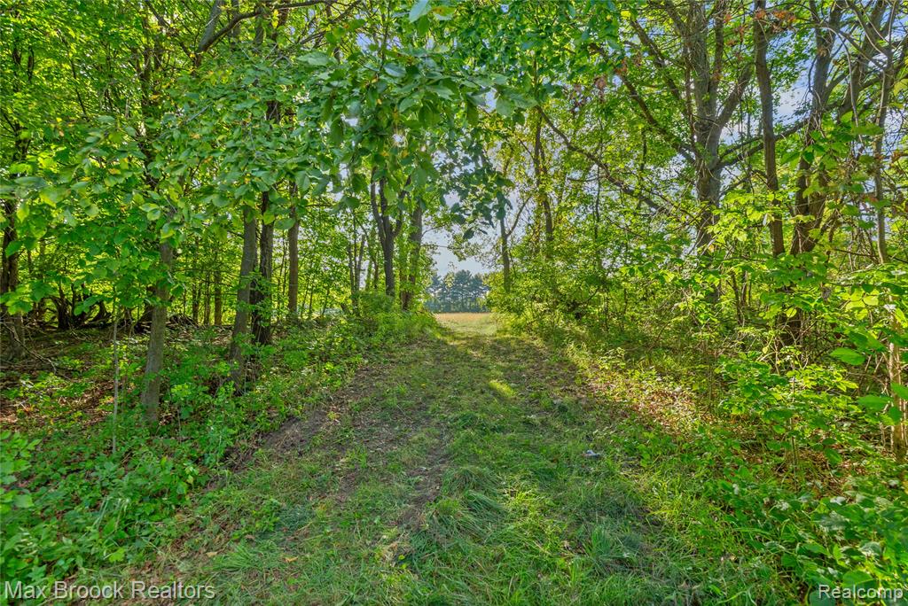 main property photo 81