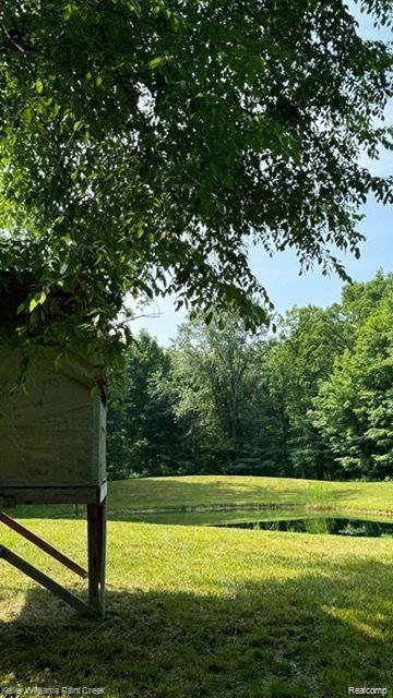 main property photo 0