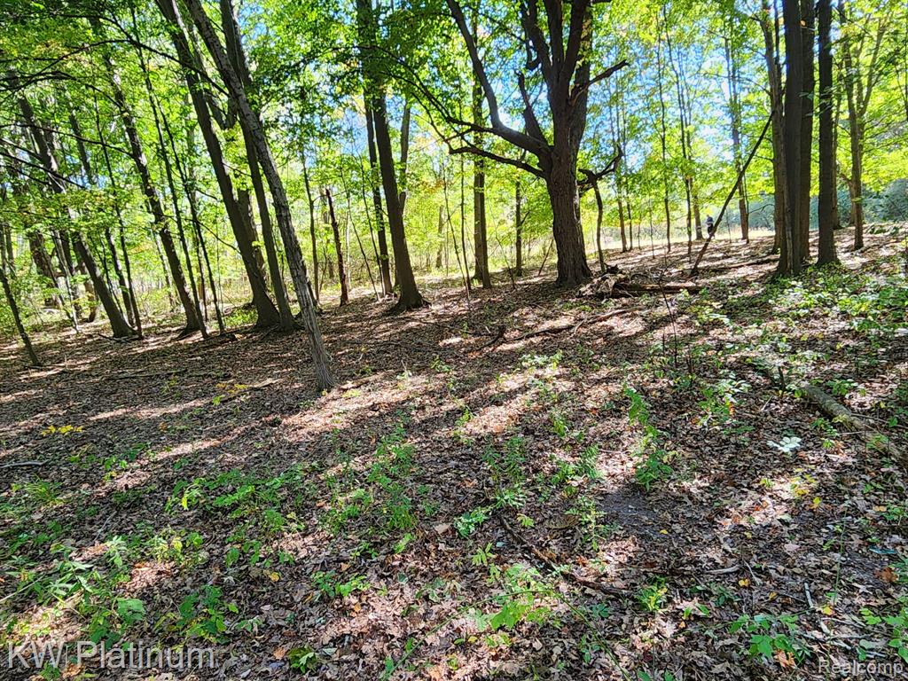 main property photo 31