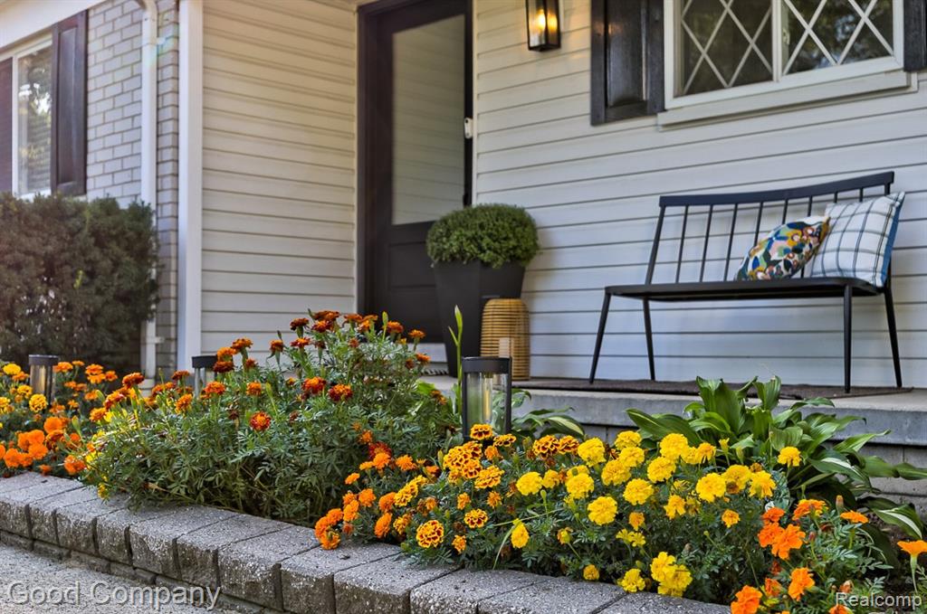 main property photo 64