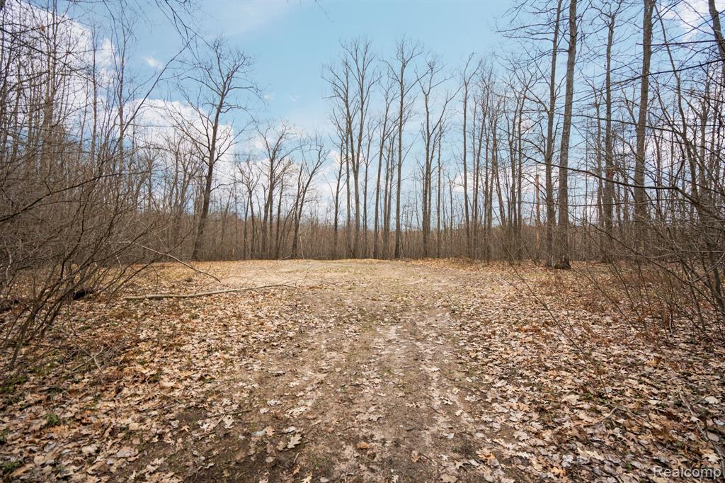 main property photo 11