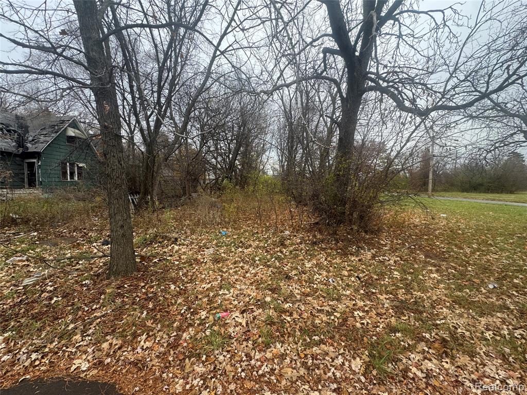main property photo 10