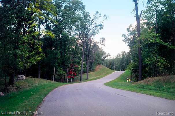 main property photo 46