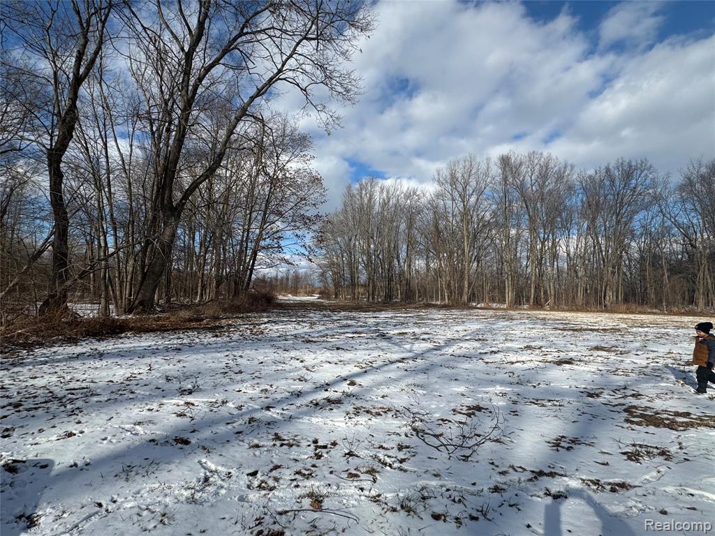main property photo 6