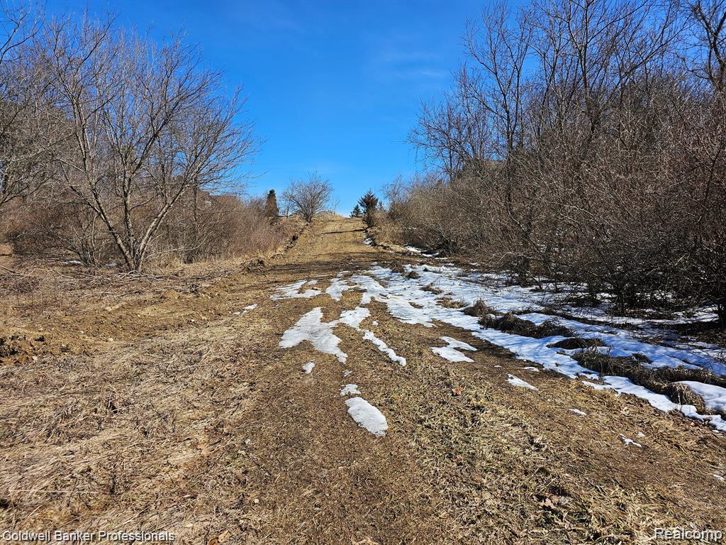 main property photo 13