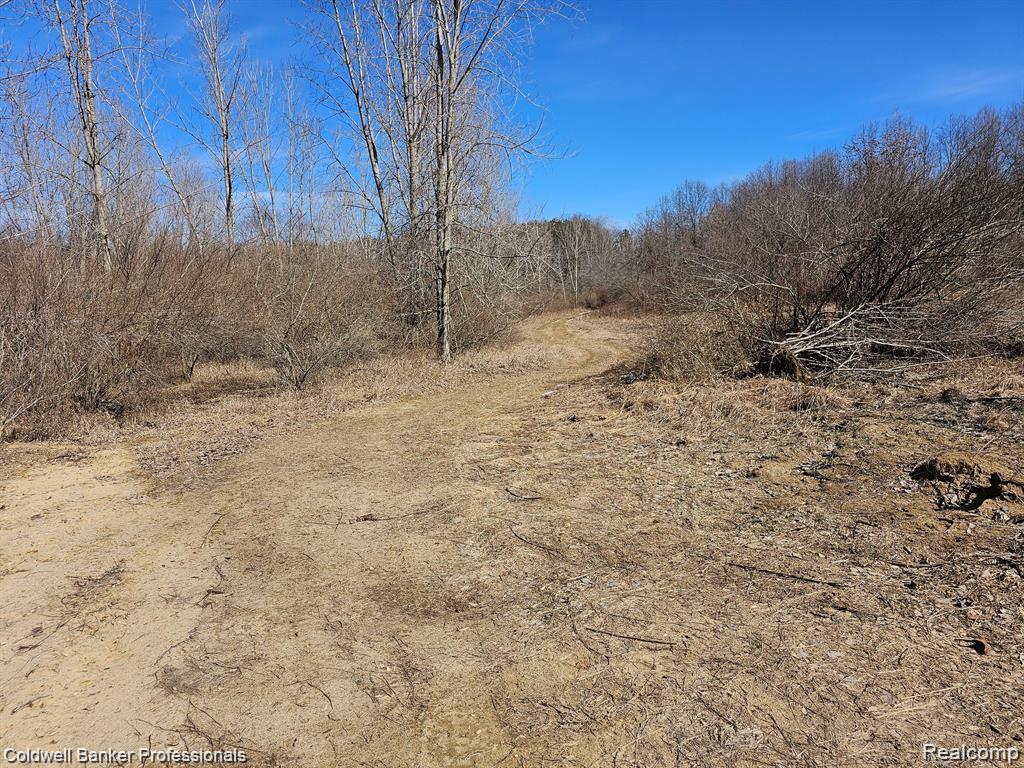 main property photo 6