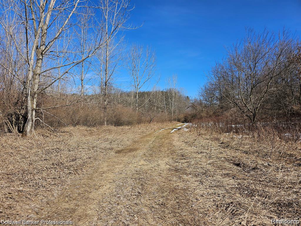 main property photo 8