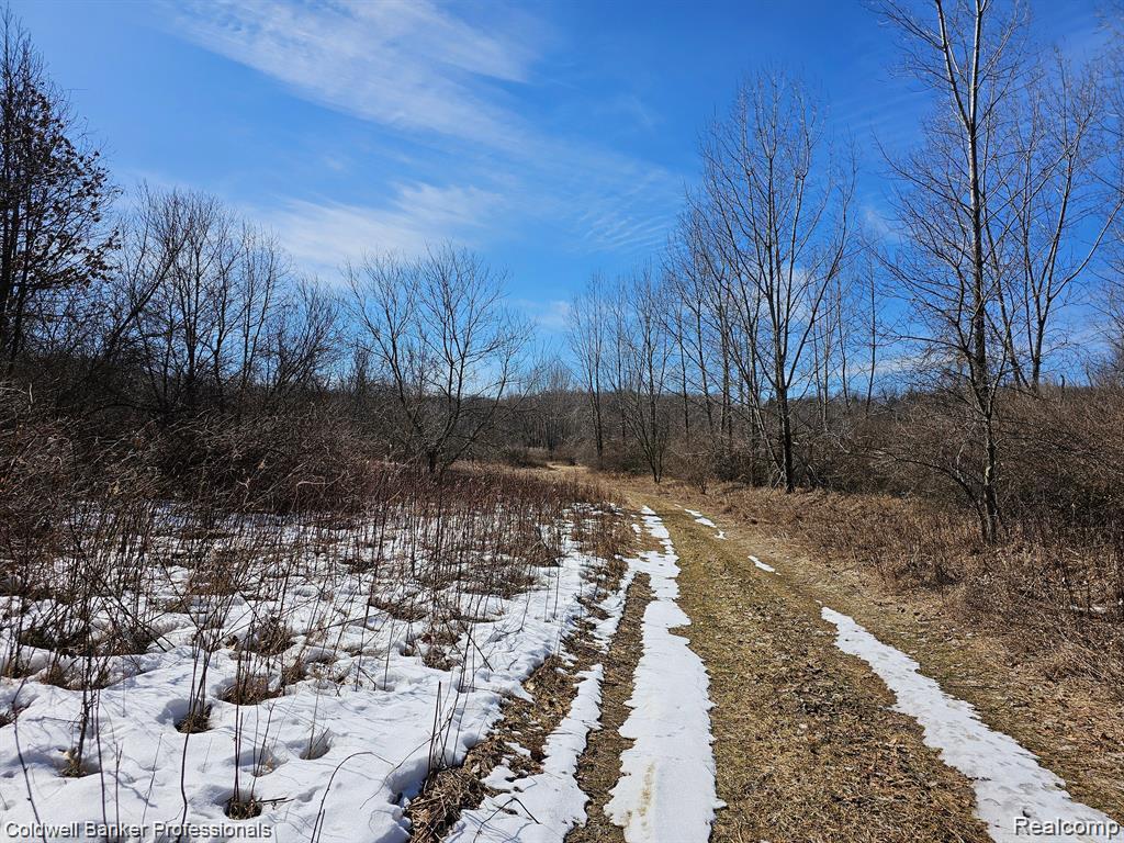 main property photo 17