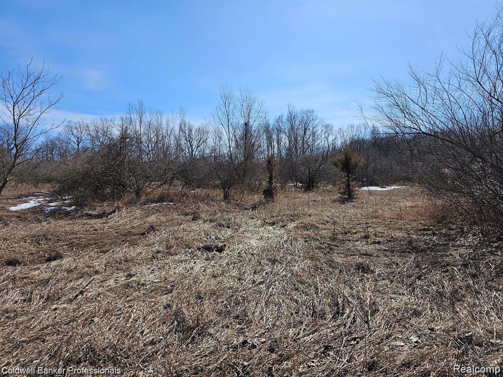 main property photo 7