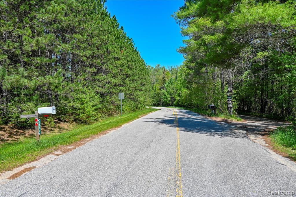main property photo 59