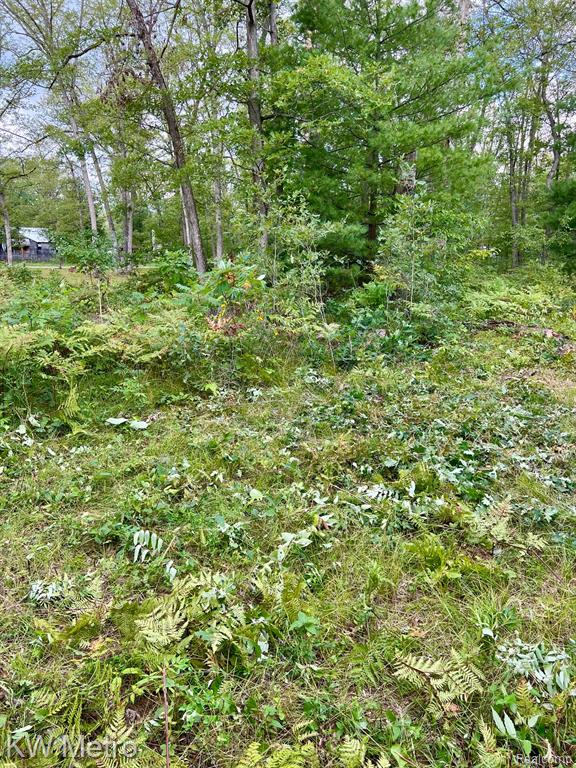 main property photo 9