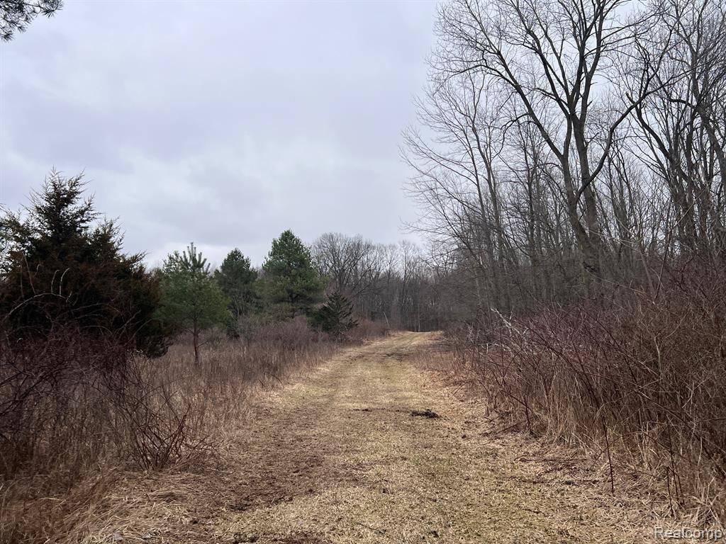 main property photo 6
