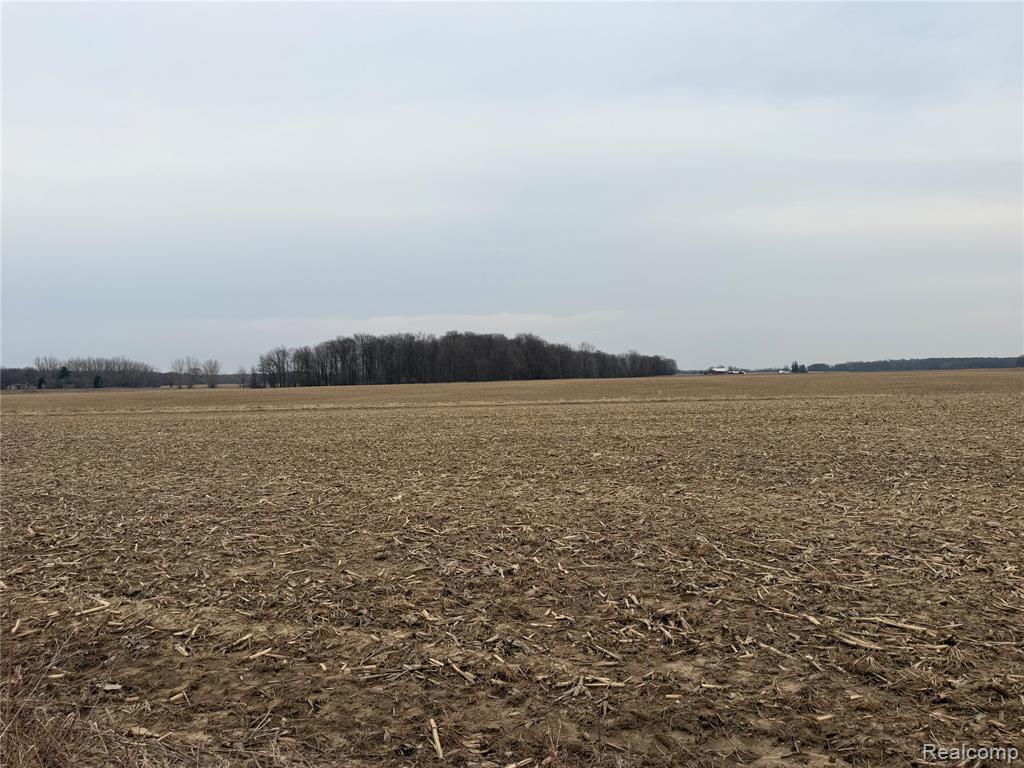 main property photo 0