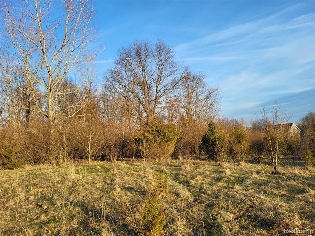 main property photo 0