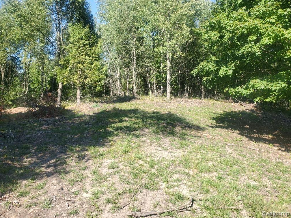 main property photo 9