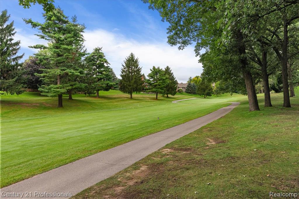 main property photo 42