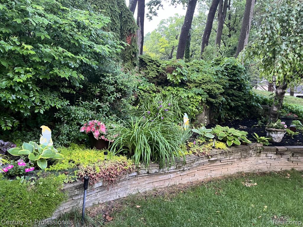 main property photo 54