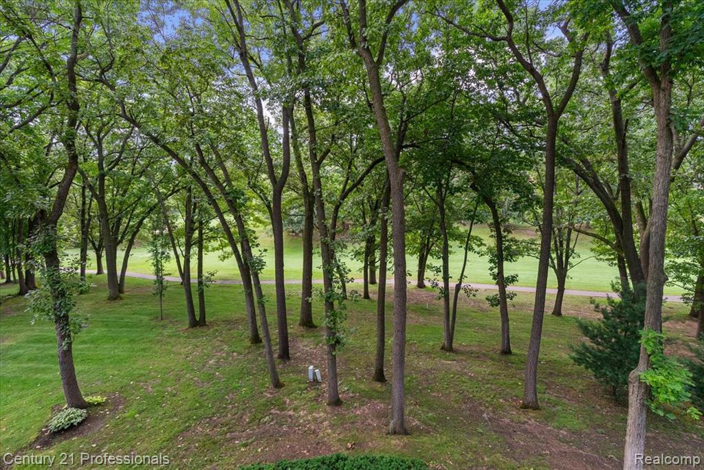 main property photo 60