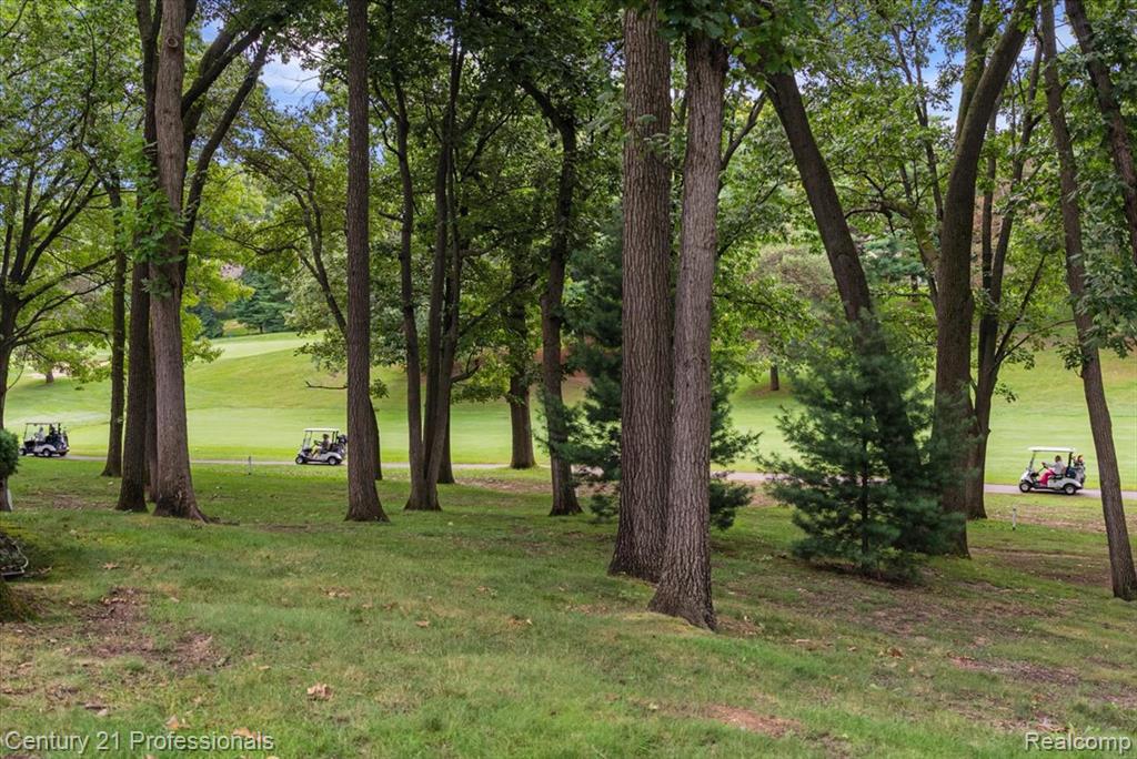 main property photo 70