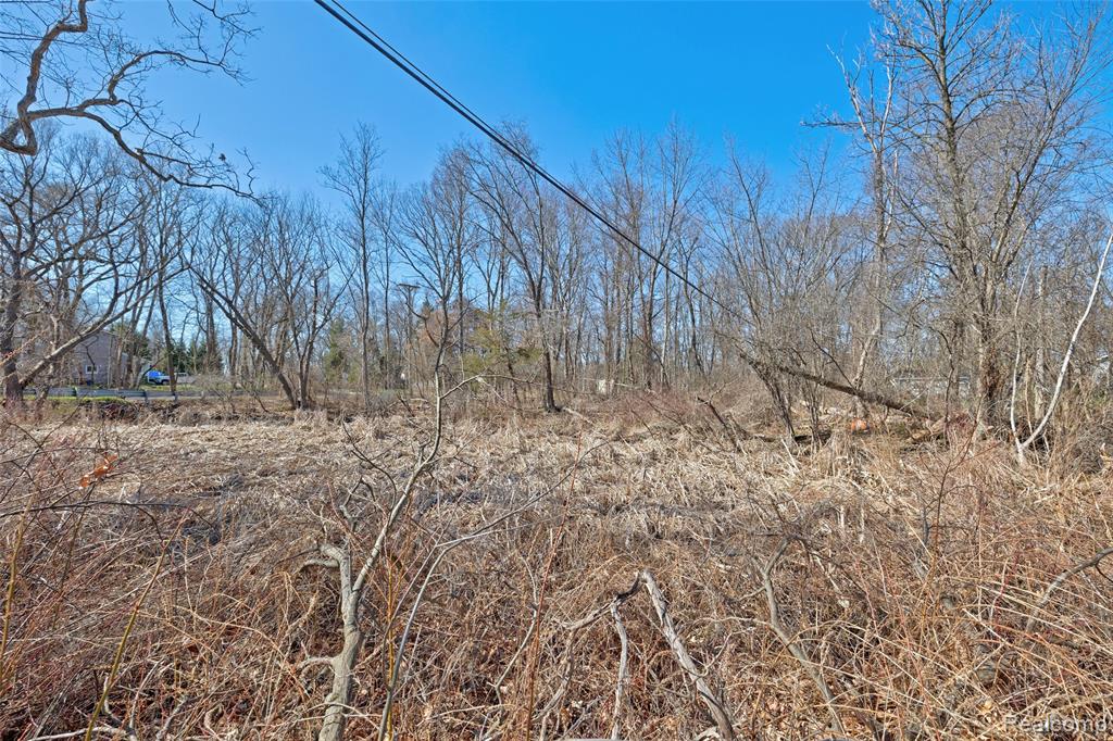 main property photo 33