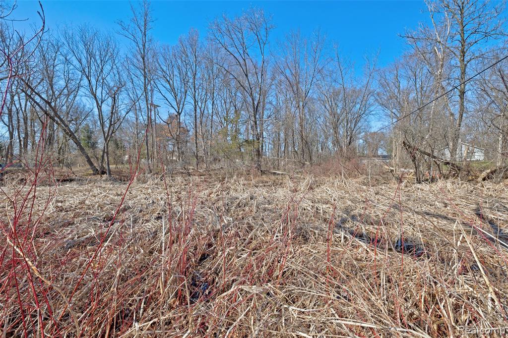 main property photo 35