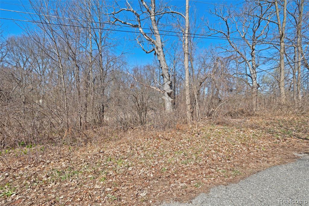 main property photo 37