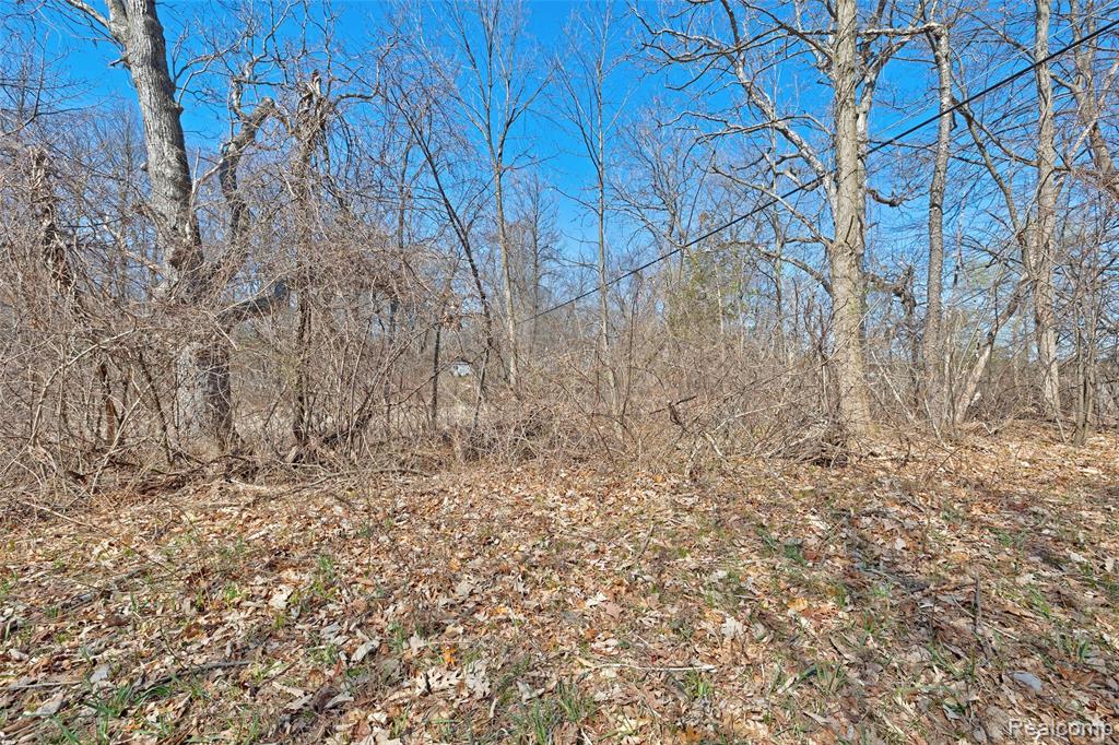 main property photo 38