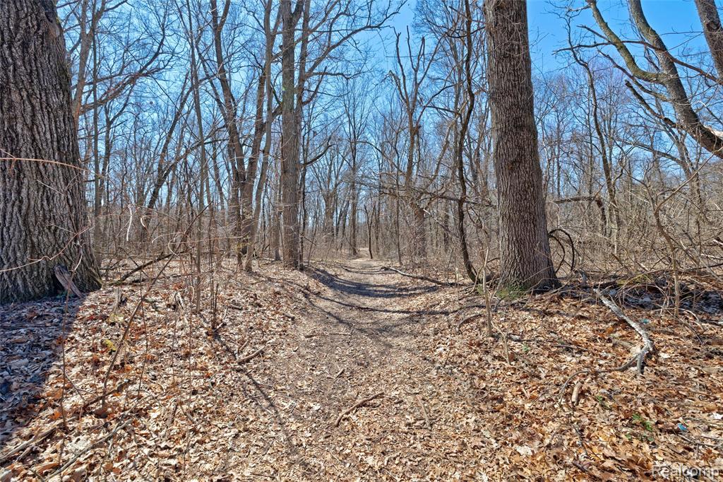 main property photo 18
