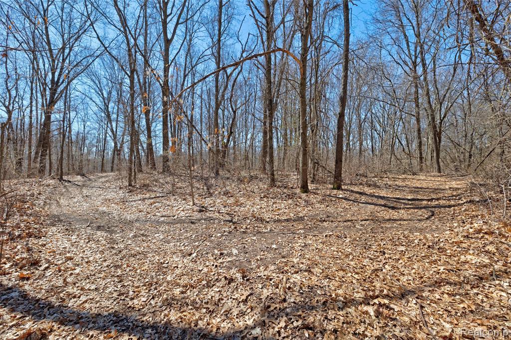 main property photo 19