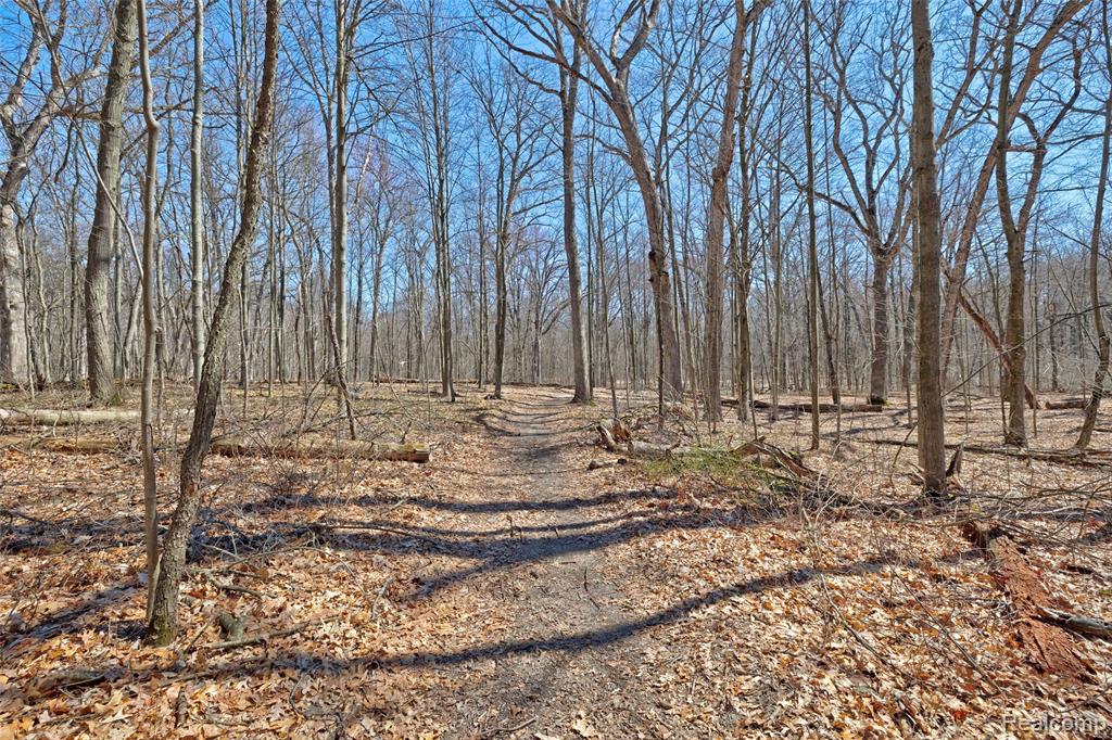 main property photo 21