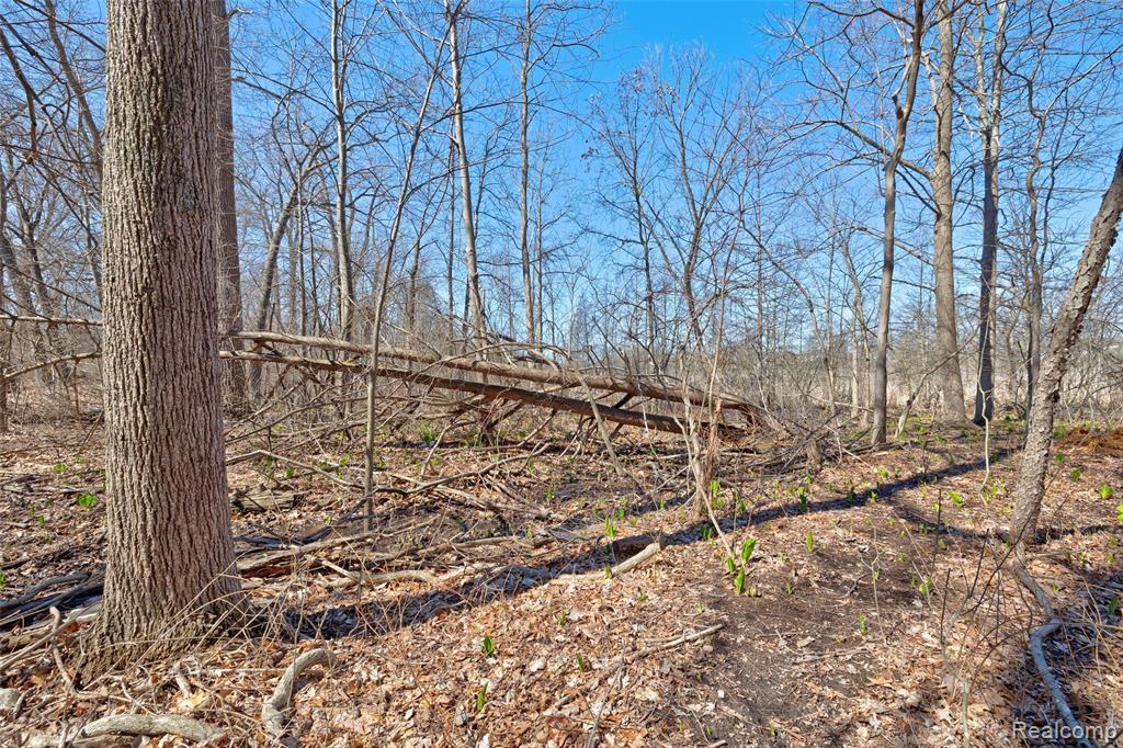 main property photo 48