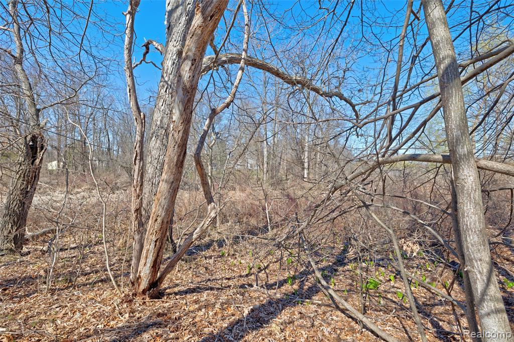 main property photo 49