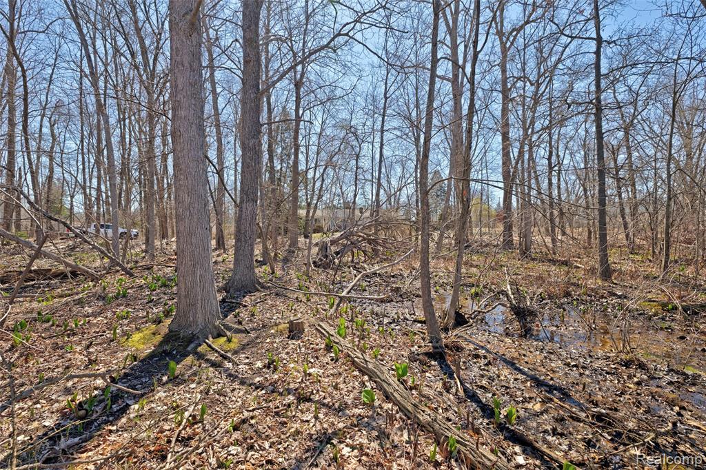main property photo 50