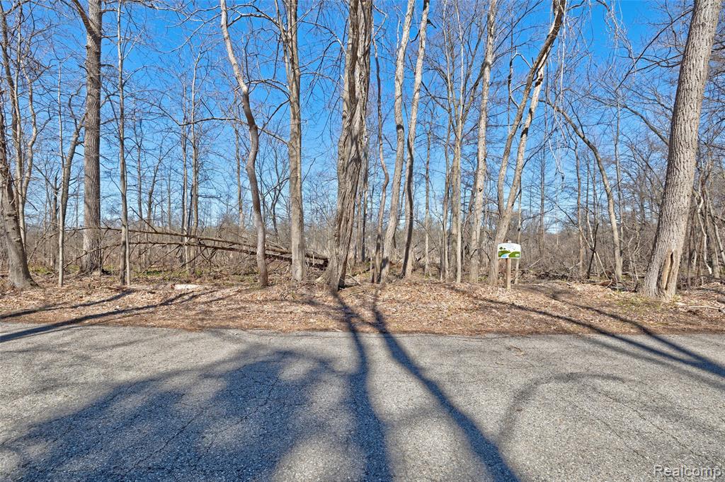 main property photo 6