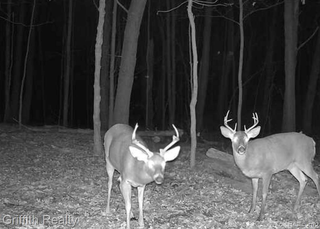main property photo 83