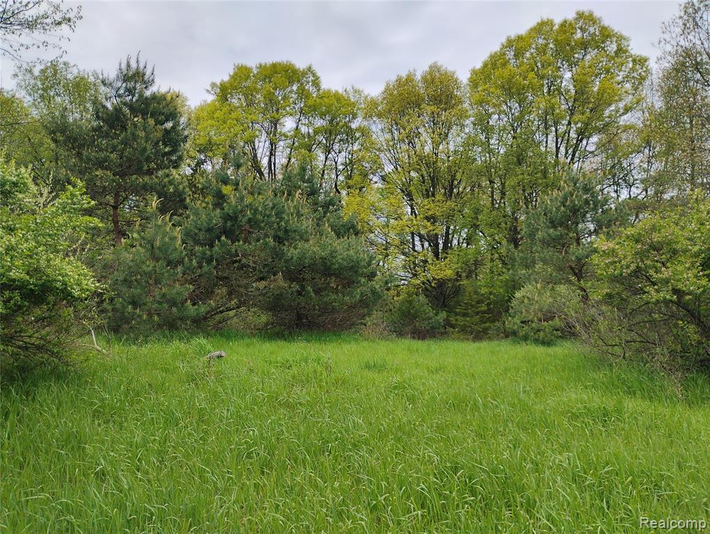 main property photo 0