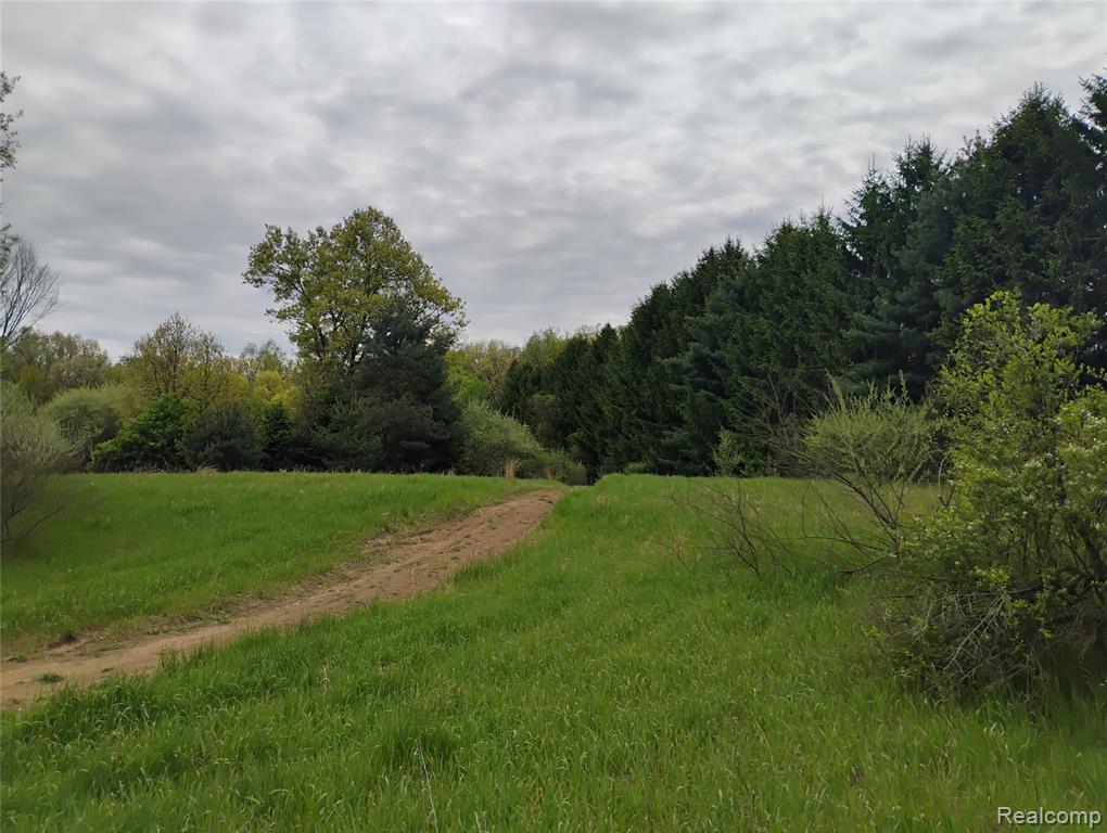 main property photo 9