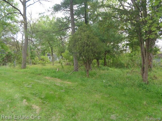 main property photo 15