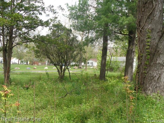 main property photo 8