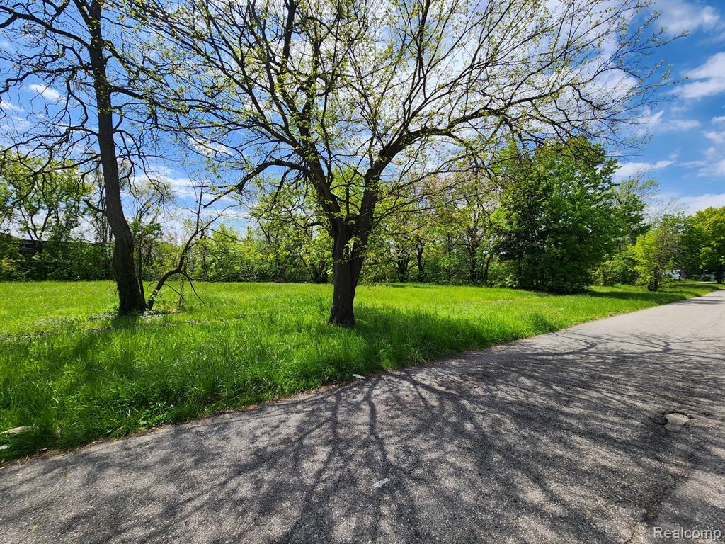 main property photo 3