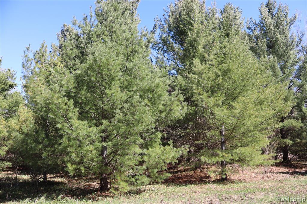 main property photo 27