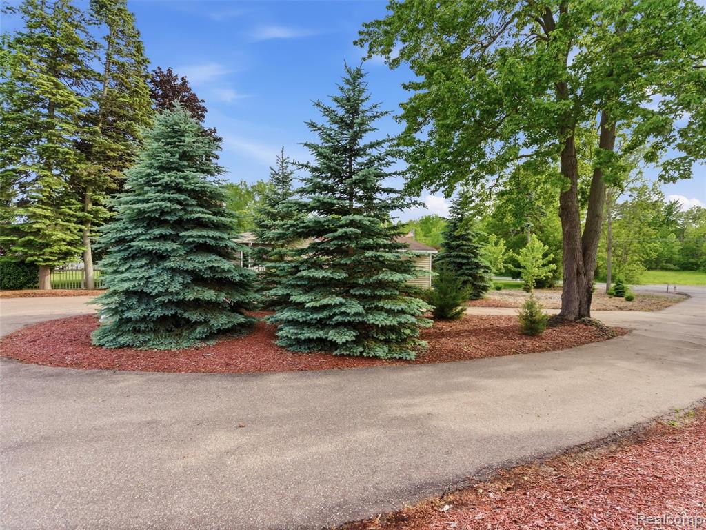 main property photo 41