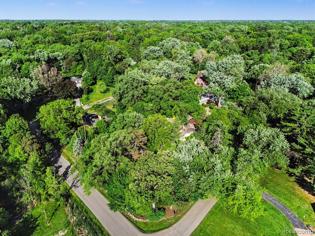 main property photo 54