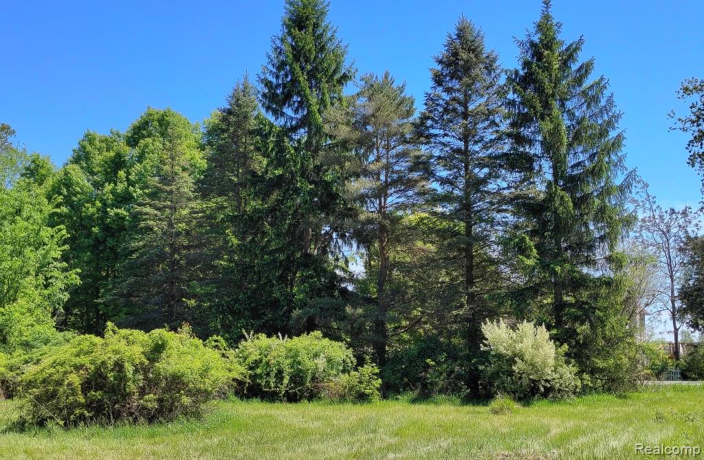 main property photo 7