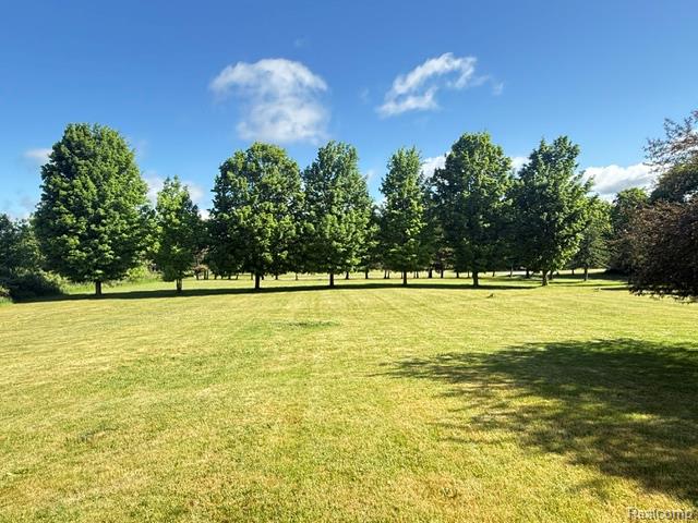 property viewer photo 5