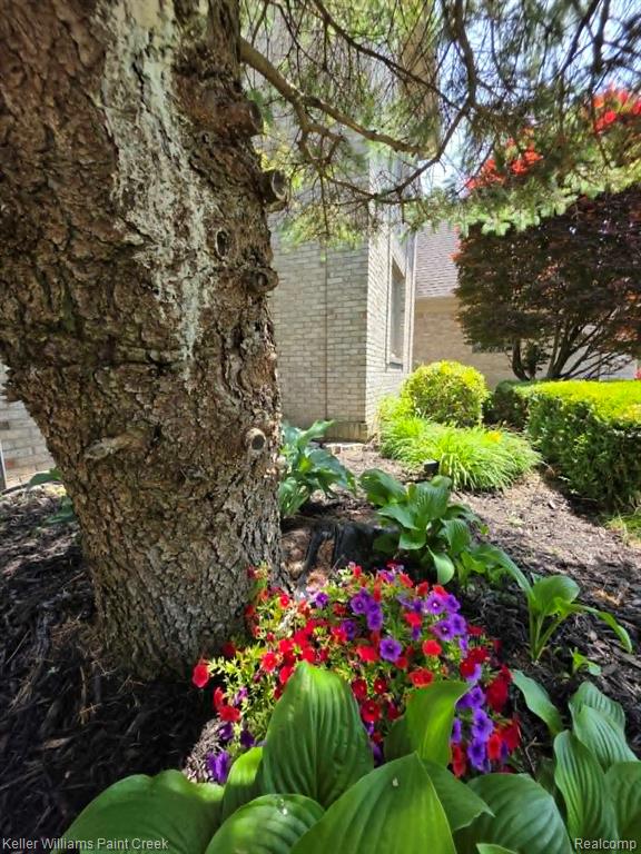 main property photo 67