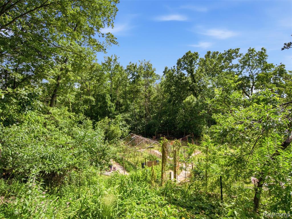 main property photo 55