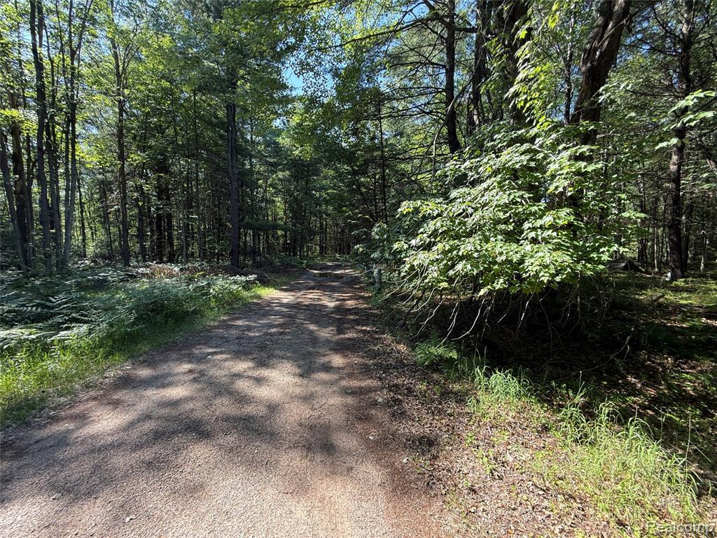 main property photo 19