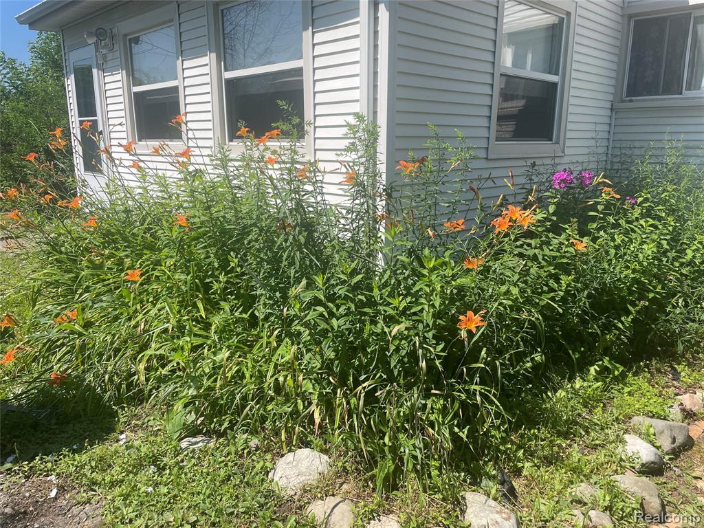 main property photo 61